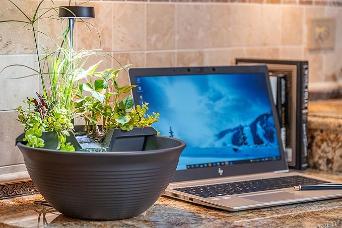Aquascape AquaGarden Tabletop Desktop Fountain Kit with Waterfall, Meditation, Relaxation, Gray - Bloomnest