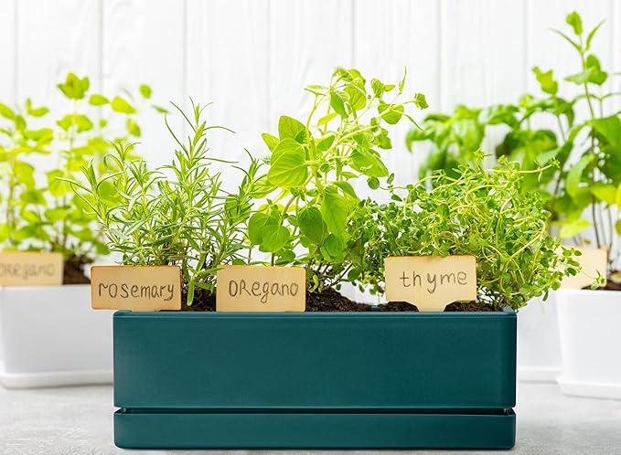 D'vine Dev 12 Inch Window Box Planter, Rectangle Plastic Herb Planter with Drainage Holes and Saucer, Indoor Succulent Cactus Vegetable Pot for Windowsill, Garden Balcony, Green, Set of 1, 76-X-C-1 - Bloomnest