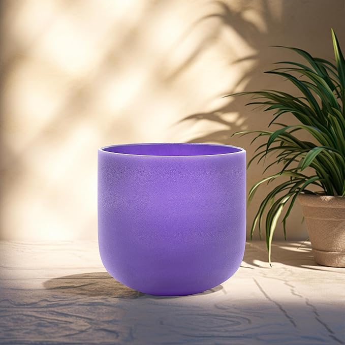 ALIOTH Purple B Note Crystal Singing Bowl Crown Chakra 6 inch with Carry Case Bag and Singing Bowl Mallet - Bloomnest