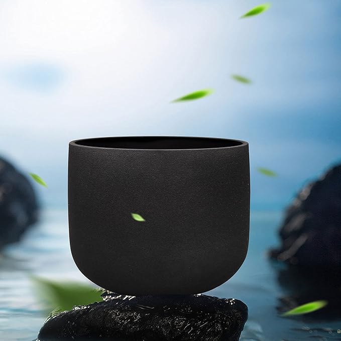TOPFUND Black E Note Crystal Singing Bowl Solar Plexus Chakra 10 inch with Artificial Leather Carrying Case and Suede Mallet - Bloomnest