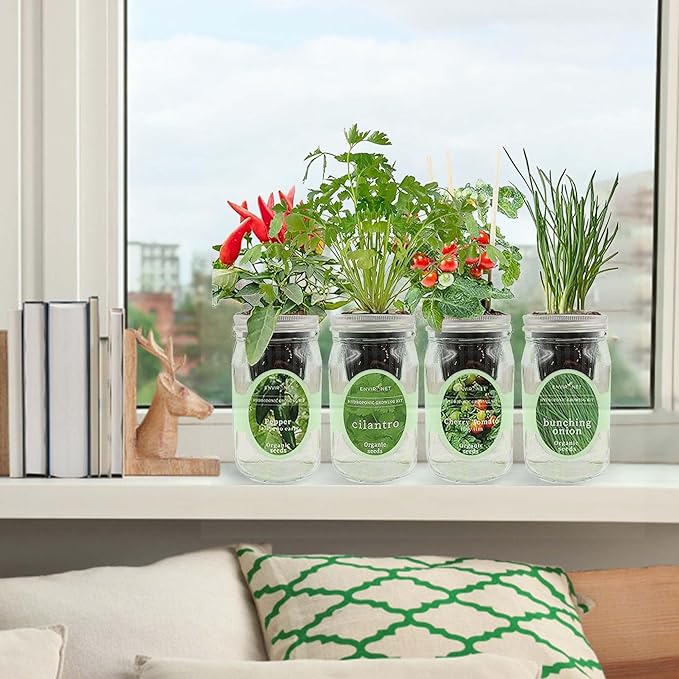 Hydroponic Mason Jar Indoor Garden Organic Seed Starter Kits - Zesty Salsa Growing Kits, Gardening Gift (Jalapeno Pepper, Cilantro, Cherry Tomato - Tiny Tim, Bunching Onion)