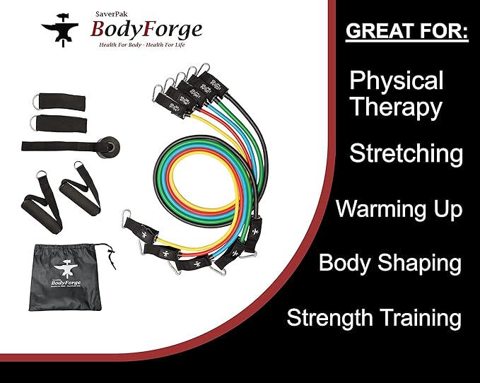 BodyForge Resistance Bands, Exercise Bands, Resistance Bands for Working Out, Work Out Bands with Handles for Men and Women Fitness, Strength Training Home Gym Equipment - Bloomnest