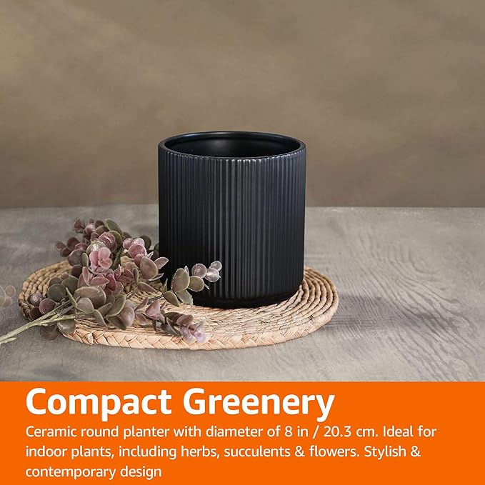 Amazon Basics Fluted Round Ceramic Planter, 8-inch, Black - Bloomnest