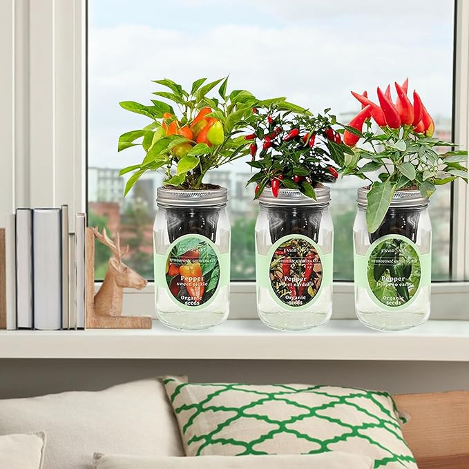 Hydroponic Mason Jar Indoor Garden Organic Seed Starter Kits - Pepper Trio Garden Growing Kits, Gardening Gift (Sweet Nardello Pepper, Jalapeño Early Pepper, Sweet Pickle Pepper) - Bloomnest