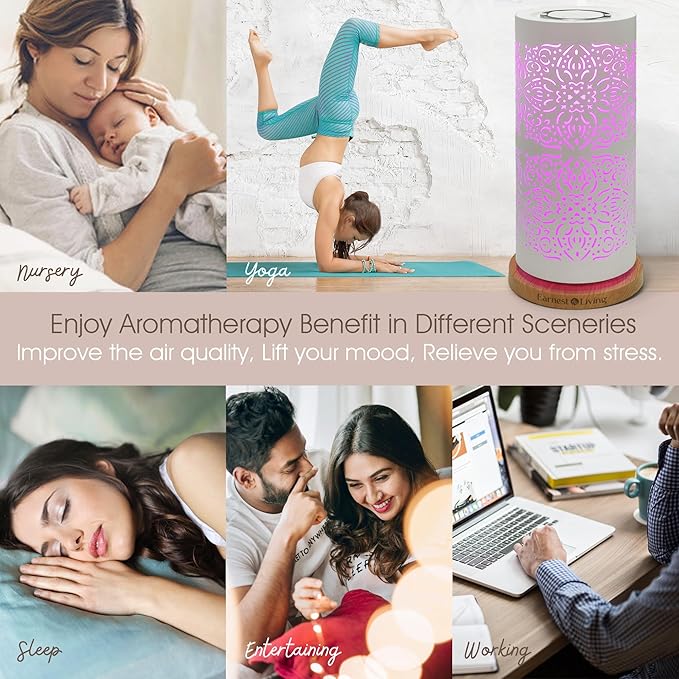 Earnest Living Waterless Diffuser 100ml Nebulizing Diffusion System for Large Ambient Space Studio Home Office Hotel Spa - Bloomnest