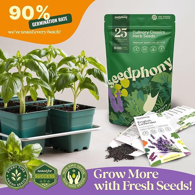 25 Culinary Herb Seeds Variety Pack - 13,055+ Non-GMO Heirloom Herbs Seeds for Planting Indoor & Outdoor: Rosemary, Basil, Catnip, Cilantro, Dill, Parsley, Oregano, Thyme, Mint, Tarragon, Lavender - Bloomnest