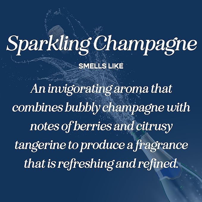 CANDECraftCo Premium Fragrance Oil – Diffuser Oils Fragrances Scented for Home, Candle Soap Making Supplies, Aromatherapy Blends for House (0.34 Fl Oz) (2-Pack, Sparkling Champagne) - Bloomnest