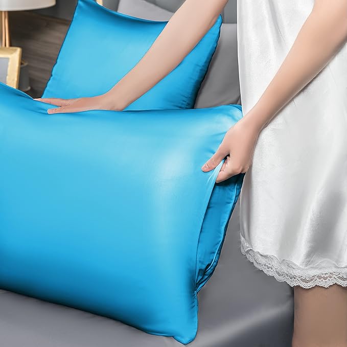 Mulberry Silk Pillowcase for Hair and Skin,Standard Size Cooling Silk Pillow Case with Hidden Zipper,Allergen Proof Dual Sides Soft Breathable Smooth Silk Pillow Cover for Women(Standard,Ice+ Blue) - Bloomnest