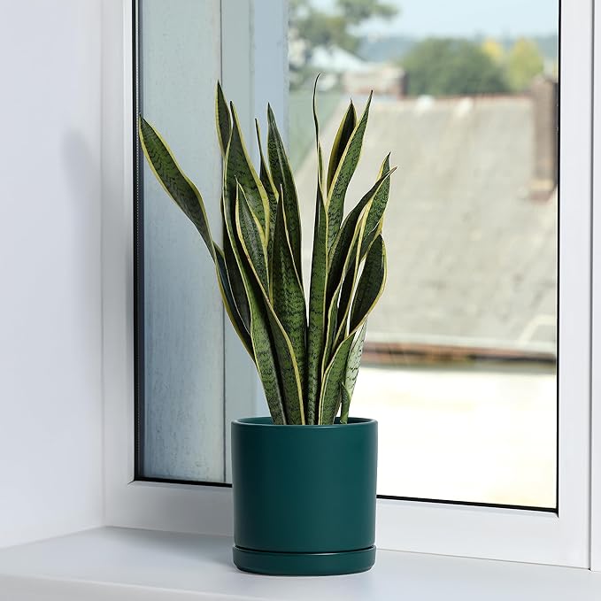 D'vine Dev Set of 2 Plants Pots, 6 Inch Ceramic Planter Pot for Plants with Drainage Hole and Saucer, Teal, 94-V-C-9 - Bloomnest