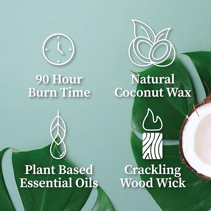 Hemlock Park Crackling Wood Wick Candle Handcrafted with Natural Coconut Wax (Large 16 oz, Coconut) - Bloomnest