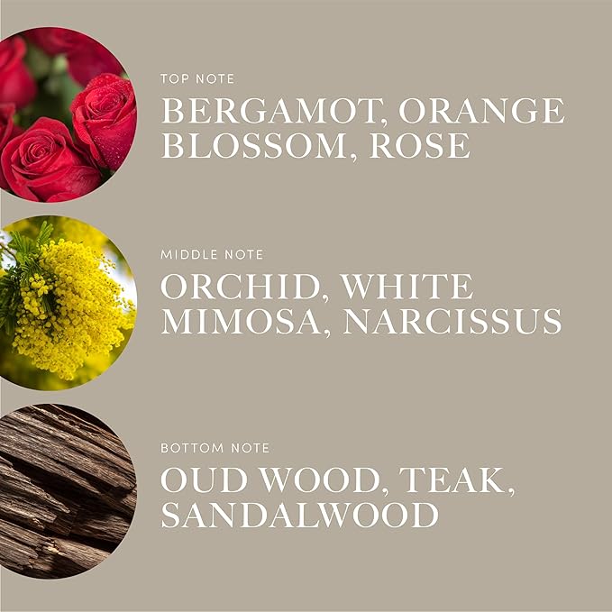 Aroma360 | Disney - A Whole New World Fragrance Oil Blend | Disney Princess Jasmine | Luxury Essential Oil Diffuser | Aromatherapy Scent Diffuser Oil | Bergamot Orange Blossom Rose 1.7 fl oz 50 mL - Bloomnest