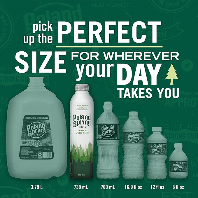 Poland Spring Maine Spring Water Aluminum Bottle – Crisp, Still Bottled Water with Naturally Occurring Minerals & Electrolytes for Taste - 12 Pack- 25 fl oz - Bloomnest
