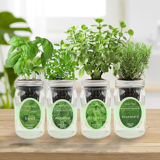 Hydroponic Mason Jar Indoor Garden Organic Seed Starter Kits - Italian Herb Blend Growing Kits, Windowsill Herb Garden, Gardening Gift (Basil, Marjoram, Oregano, Rosemary) - Bloomnest