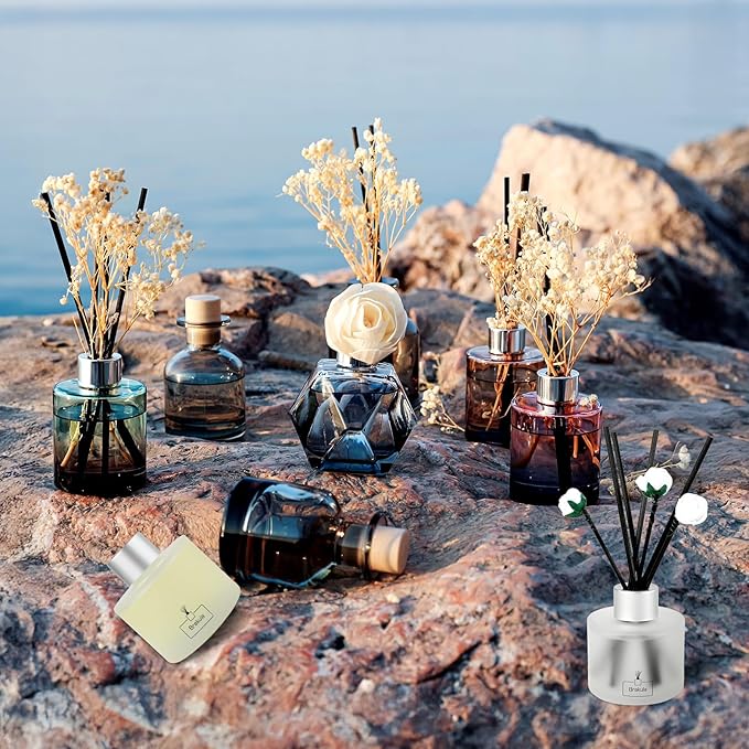 Brakula 2 Pack Reed Diffuser Set, White Jasmine Scented, Home Fragrance with 14 Sticks Bathroom Decor, Reed diffusers for Home 6.76 fl oz (White Jasmine)