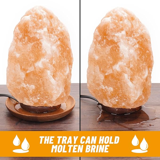 2 Pack Salt Lamp Cord Replacement with 2 Pack Wooden Tray and 8 Pack 15 Watts E12 Halogen Salt Lamp Bulbs - Bloomnest