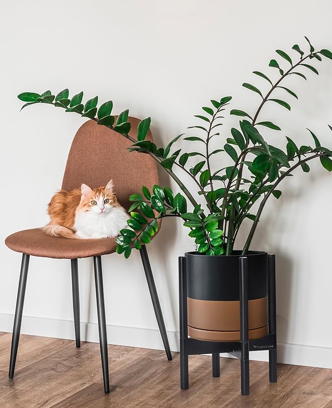 D'vine Dev Ceramic Planter with Ebony Stand - 10 Inch Modern Round Flower Pot with Wood Planter Holder, Black/Speckled Tan, 55-B-L-7 - Bloomnest