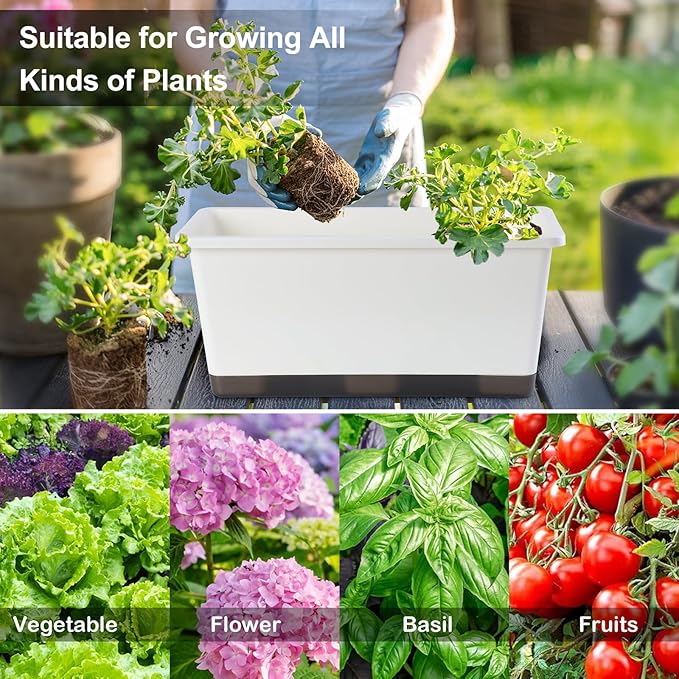 Window Box Planter 6 Pcs, 17 Inches Rectangle Flower Pots with Drainage Holes and Trays, Vegetable Planters for Windowsill Patio Garden Balcony Home Porch Yard Indoor Outdoor (White, 17*7.4*7.8 inch) - Bloomnest