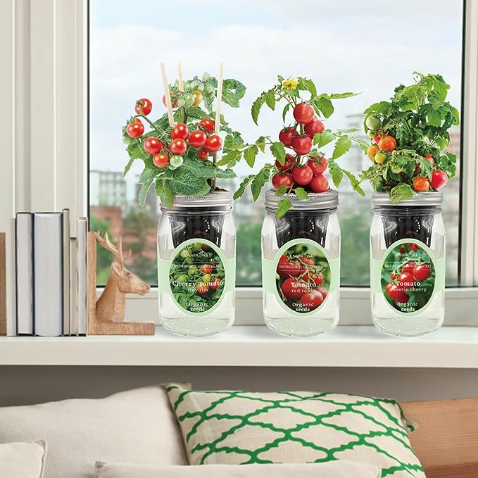 Hydroponic Mason Jar Indoor Garden Organic Seed Starter Kits - Tomato Trio Garden Growing Kits, Gardening Gift (Red Robin Tomato, Cherry Tomato - Tiny Tim, Sweetie Cherry Tomato) - Bloomnest