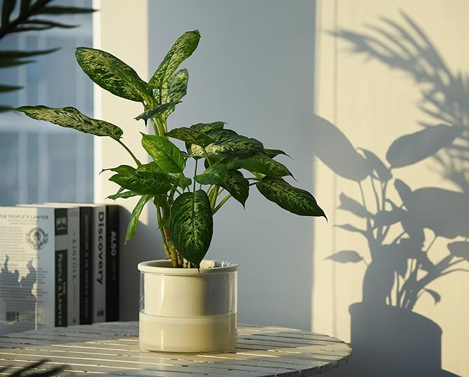 Phoenix Vine 6 Inch Self Watering Planter Pot, Design White Terracotta Pot for Plants, Indoor Cylinder Terra Cotta Pot with Glass Vase, Set of 1, 51-B-F-1 - Bloomnest