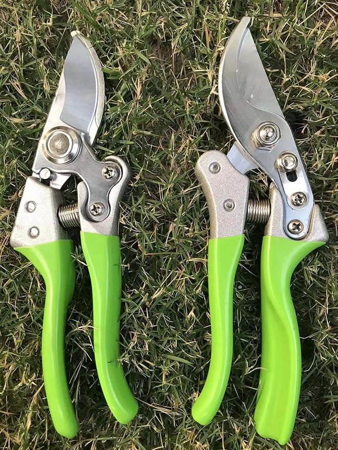 Garden Shears, Japanese Pruning Shears for Heavy Duty, Flowers Herbs Grapes Plant and Branch Cutters, Clippers, Trimmers, Scissors (Green) - Bloomnest