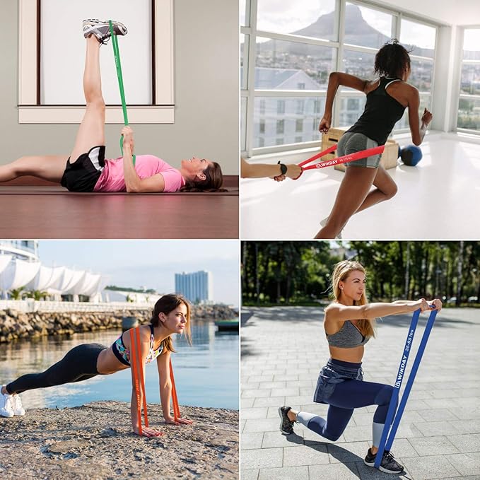 Resistance Bands, Pull Up Bands, Workout Bands for Exercise, Thick Heavy Resistance Band Set with Door Anchor, Elastic Bands for Body Stretching, Crossfit Training at Home/Gym Men & Women Women - Bloomnest