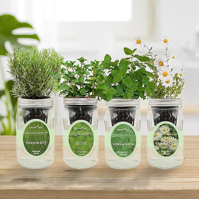 Hydroponic Mason Jar Organic Herbal Tea Seed Starter Kits - Herbal Tea Garden Growing Kits, Gardening Gift, Grow Your Own Herbal Teas Indoor (Chamomile, Mint, Lemon Balm, Rosemary) - Bloomnest