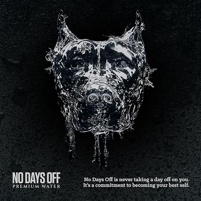 NO DAYS OFF Premium Sparkling Water - 12 Pack,16 fl oz, Sparkling (Unflavored) - Ultra-Purified Reverse Osmosis with Gentle Carbonation, Served in BPA-free 100% Recyclable Cans - Bloomnest