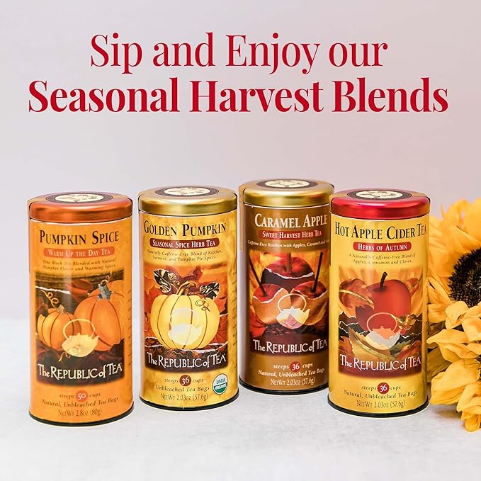 The Republic of Tea Hot Apple Cider Seasonal Herbal Tea, 250 Tea Bag Bulk - Bloomnest