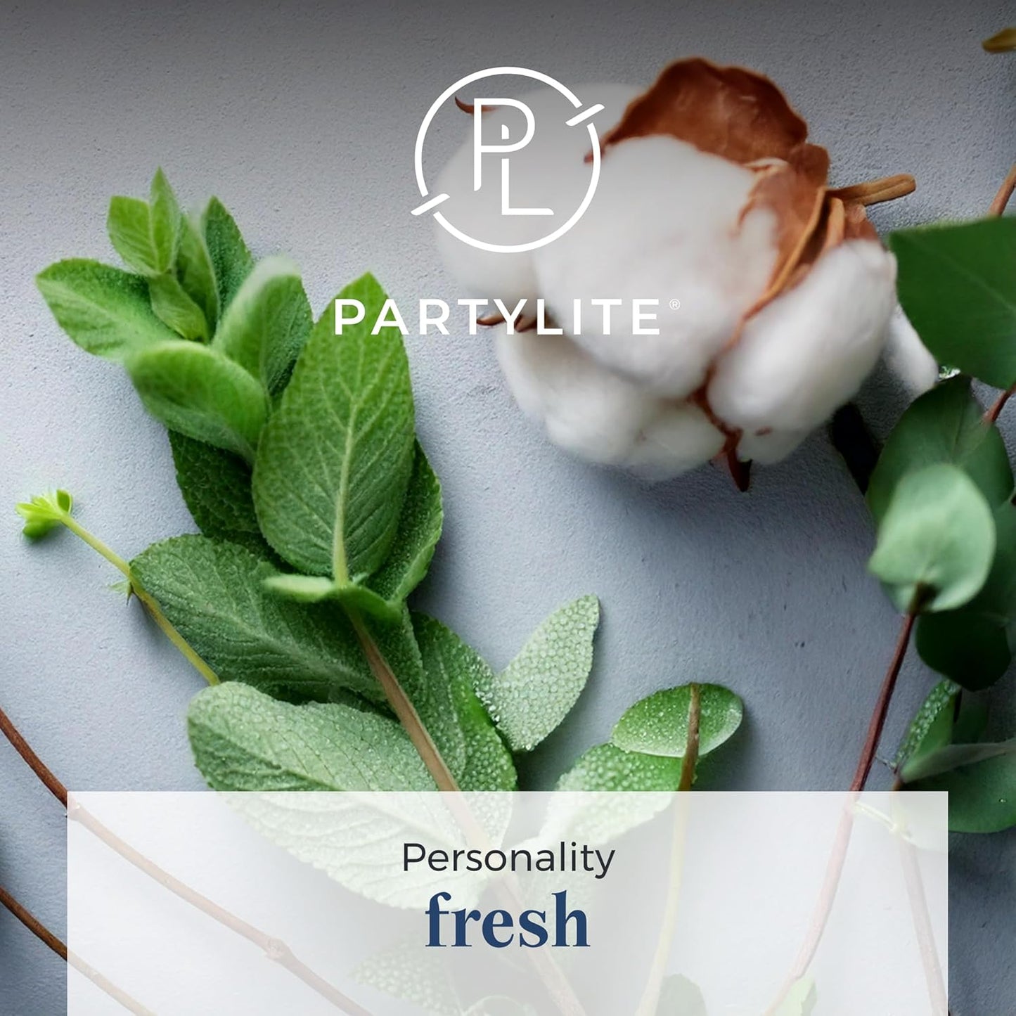 PartyLite 3-Wick Jar Candle, Highly Fragranced Clean Burning Glass Candle, 25-45 Hours Burn Time (Snowflakes & Cotton)