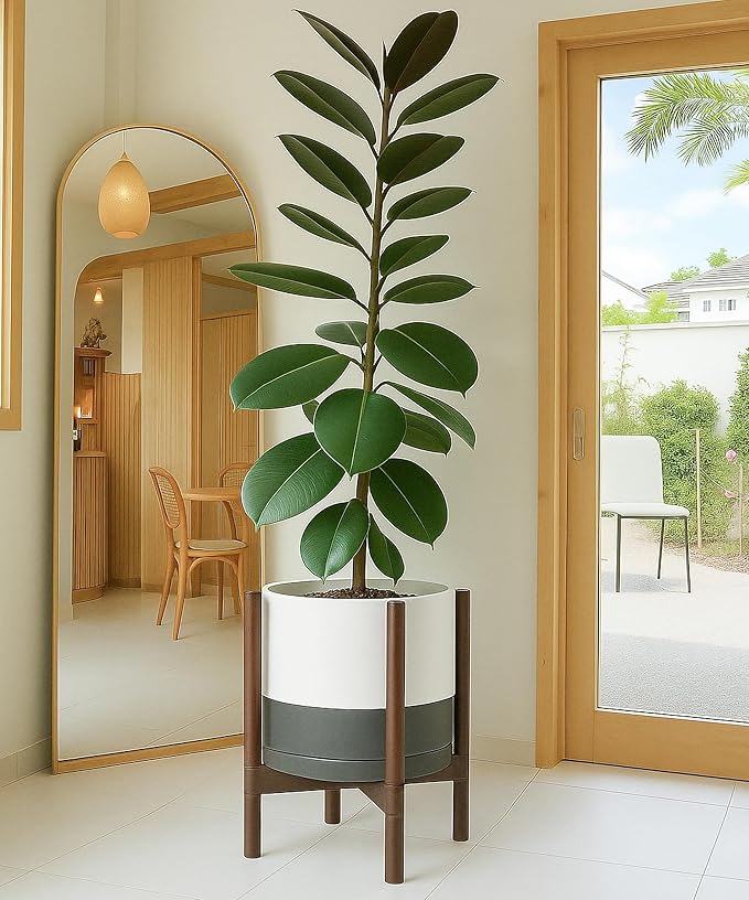 D'vine Dev Ceramic Planter with Walnut Color Stand - 12 Inch Modern Round Flower Pot with Wood Planter Holder, White/Grey, 55-B-W-6 - Bloomnest