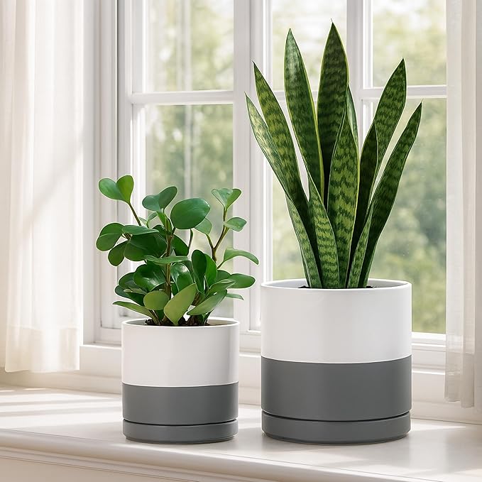 D'vine Dev 6.5 Inch & 8.2 Inch Ceramic Planter Pots for Plants with Drainage Hole and Saucer, Medium Plant Pots Set, White/Speckled Grey, 94-G-M-6 - Bloomnest
