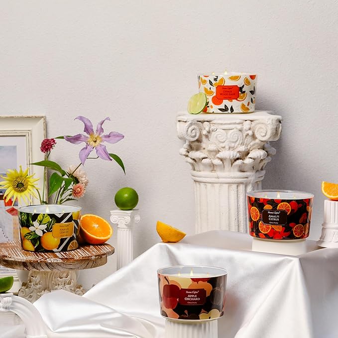 HomeLights Soy Wax Candles for Home Scented, 4-Wick Candles in Apple Orchard Scented, Aromatherapy Candles Gift for Parties, Relaxing, Eclectic Mixed Styles, 18oz - Bloomnest