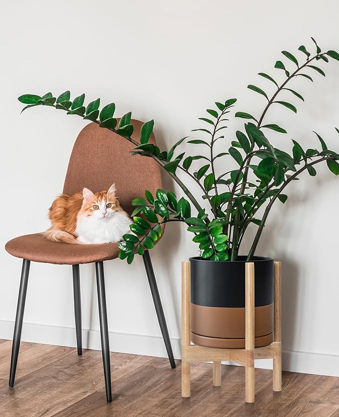 D'vine Dev Ceramic Planter with Natural Stand - 10 Inch Modern Round Flower Pot with Wood Planter Holder, Black/Speckled Tan, 55-B-K-7 - Bloomnest