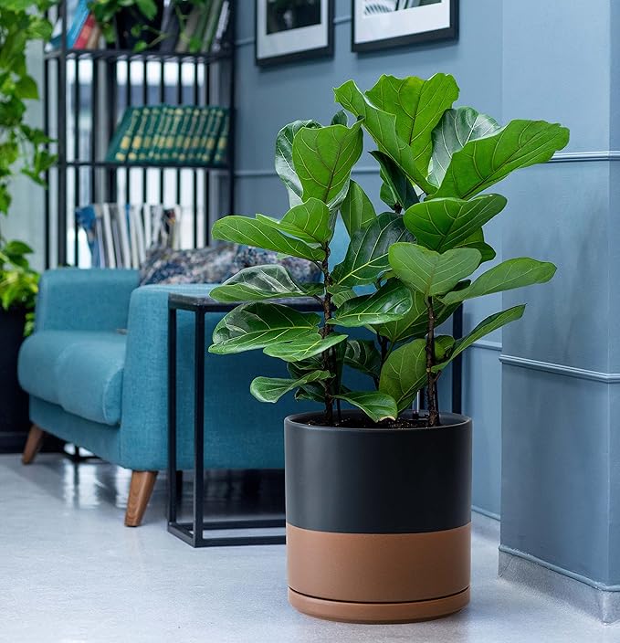 D'vine Dev 8 Inch & 10 Inch Ceramic Planter Pot for Plants with Drainage Hole and Saucer, Large Plant Pots Set, Black/Speckled Tan, 94-G-L-7 - Bloomnest
