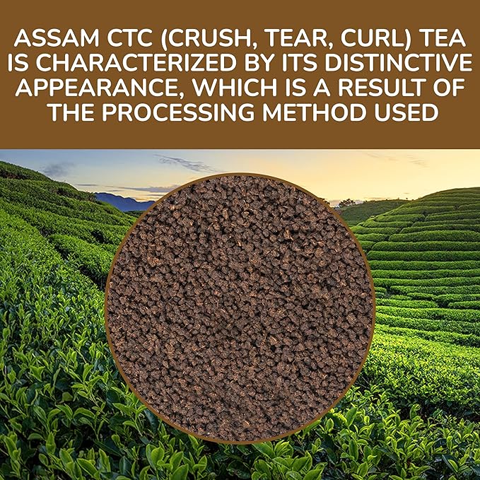 BREWIX, Premium CTC Assam Black Tea (125+ Cups, 8.82oz/250g) Strong and Full Bodied Loose Leaf Tea | For Kombucha, Indian Milk Tea, Iced Tea & English Breakfast Tea - Bloomnest