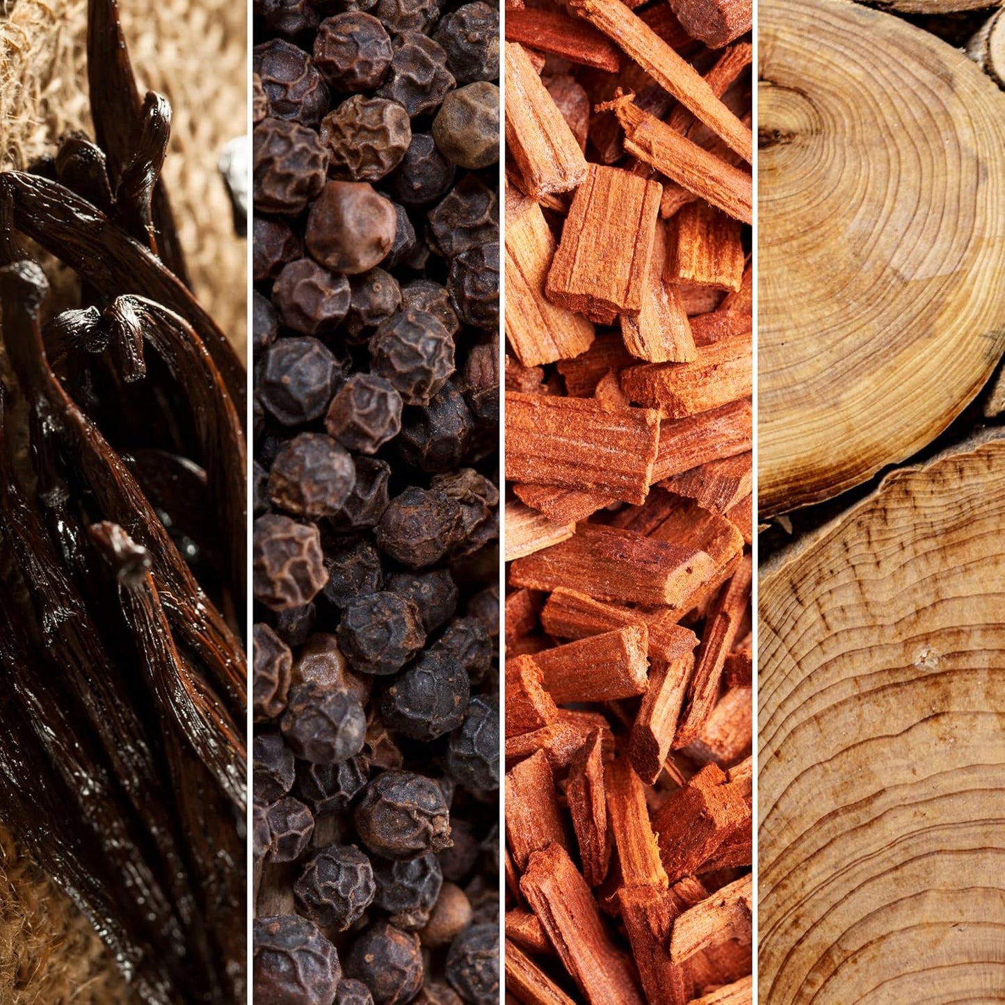 Journeyman Collection Candle, 15oz, Wooden Wick, Santal Oud, Large Painted Jar