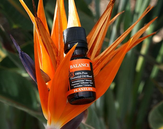 Plantlife Balance Aromatherapy Essential Oil Blend - Straight from The Plant 100% Pure Therapeutic Grade - No Additives or Fillers - Made in California 10 ml - Bloomnest