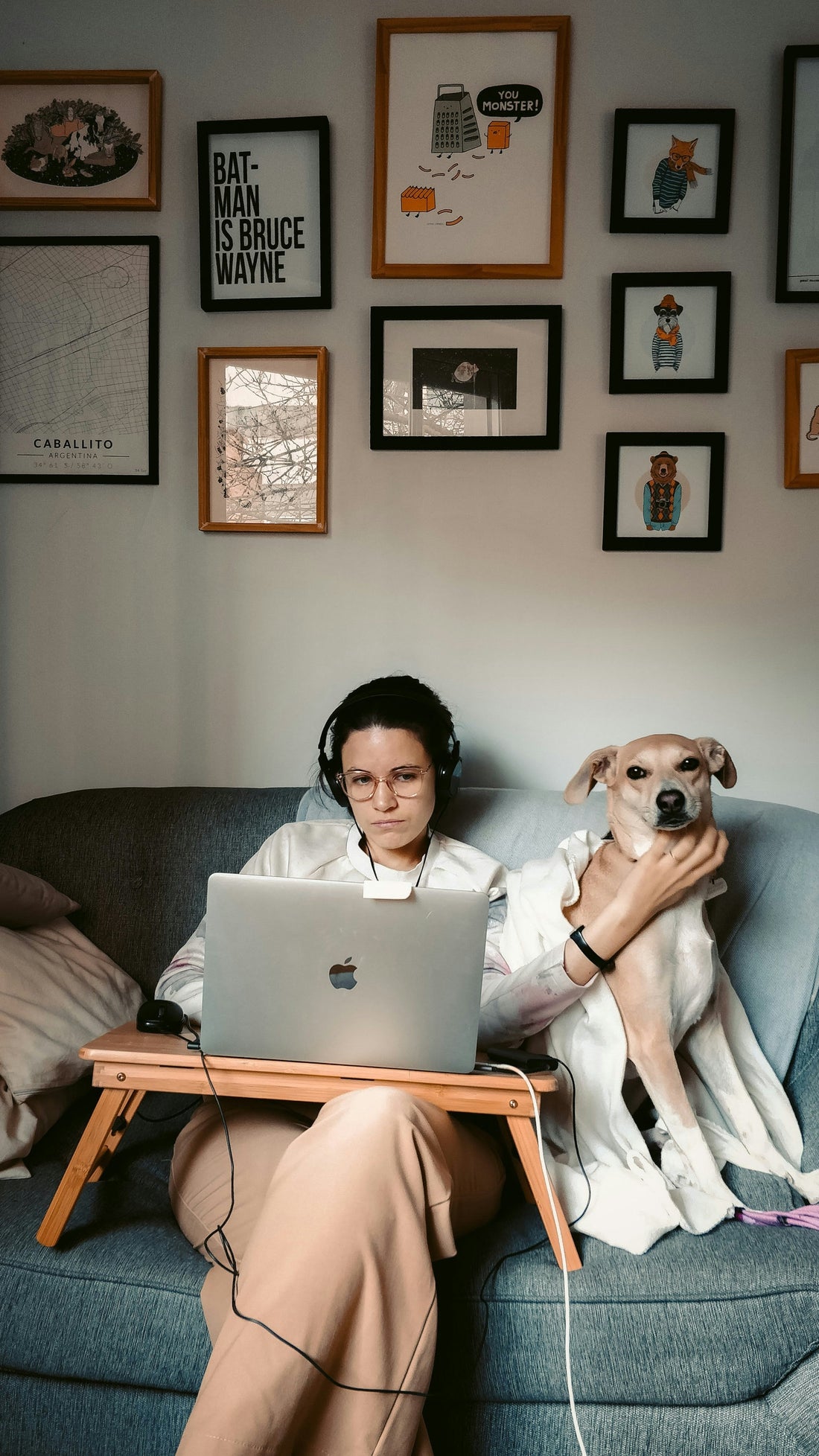 Shared Serenity: Healing Your Space and Soul with Your Loyal Companion Bloomnest