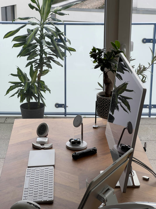 Sustainable Serenity: Crafting an Eco-Friendly Workspace for Mental Clarity Bloomnest
