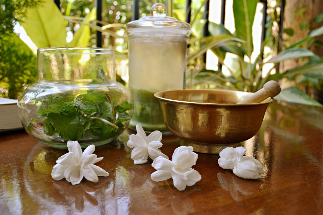 The Science of Scent: How Jasmine Oil Calms Your Nervous System Bloomnest