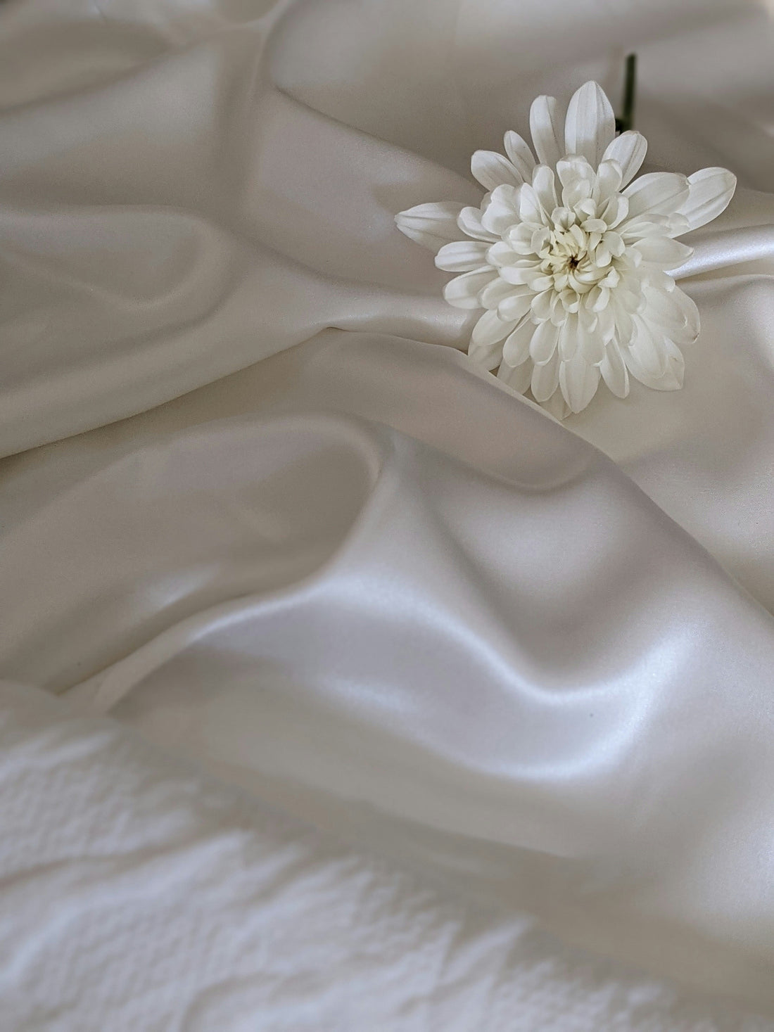 Low-Stress Homebody Flow Bloomnest