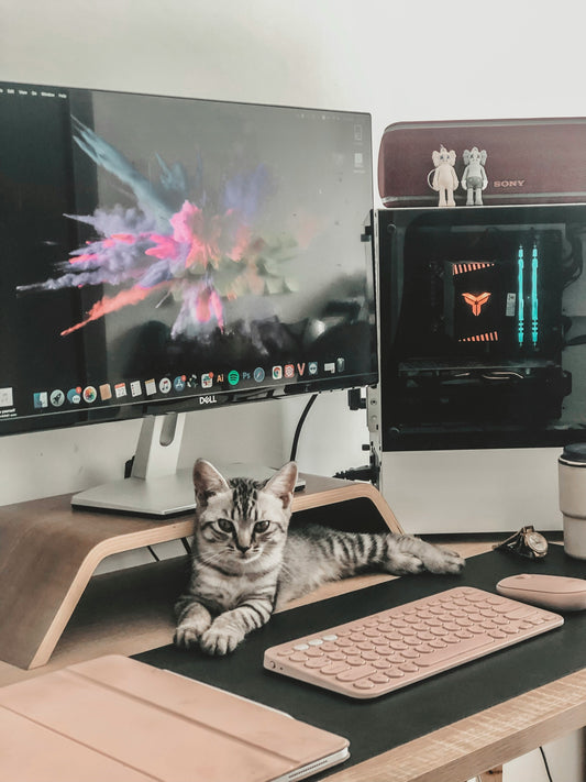 The Zen Home Office: Finding Inner Peace with Your Furry Companion Bloomnest