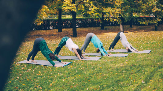 Morning Routine Tips for Energy and Focus Bloomnest