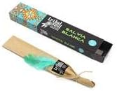 Tribal Soul Incense Smudge Stick Scents | Premium Quality Incense Stick (Box of 12) (White Sage) Bloomnest