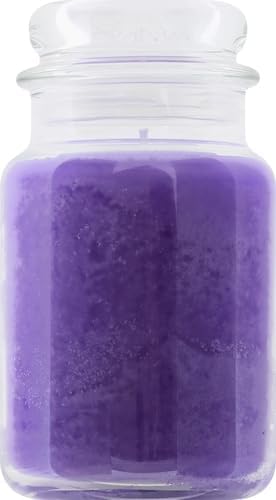Yankee Candle Lilac Blossoms Scented Classic 22oz Large Jar Single Wick Candle Over 110 Hours of Burn Time Perfect for Gifting Gatherings and Seasonal Decorations - Bloomnest