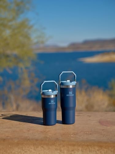 Stanley IceFlow Flip Straw Tumbler with Handle 20 oz | Twist On Lid and Flip Up Straw | Leak Resistant Water Bottle | Insulated Stainless Steel |BPA-Free | Navy - Bloomnest