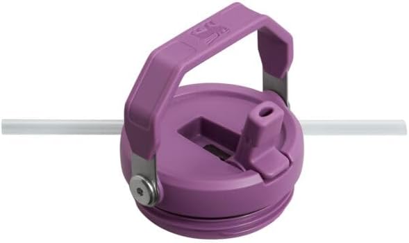 Stanley IceFlow Flip Straw Tumbler with Handle 30 oz | Twist On Lid and Flip Up Straw | Leak Resistant Water Bottle | Insulated Stainless Steel |BPA-Free | Lilac - Bloomnest
