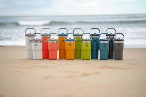 Stanley IceFlow Flip Straw Tumbler with Handle 20 oz | Twist On Lid and Flip Up Straw | Leak Resistant Water Bottle | Insulated Stainless Steel |BPA-Free | Charcoal - Bloomnest