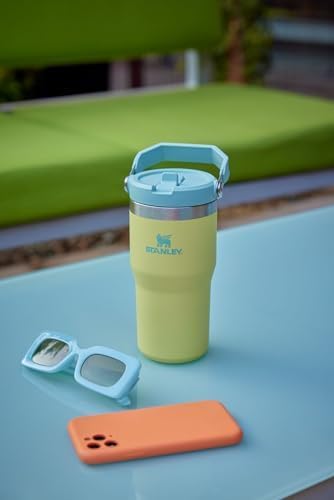 STANLEY IceFlow 2.0 Flip Straw Tumbler with Handle 20 oz | Twist On Lid and Flip Up Straw | Leak Resistant Water Bottle | Insulated Stainless Steel | BPA-Free | Chili Red - Bloomnest