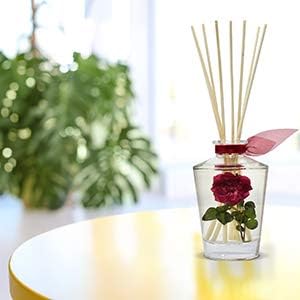 LOVSPA Reed Diffuser Sticks, Set of 80 Wood Rattan Replacement Reed Sticks for Diffuser Oil Bottles, 10 Bundles of 8 (8 inch) - Bloomnest